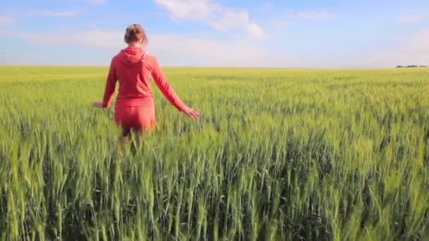 Молода Жінка Ходить Полі Жовтої Пшениці Торкається Колосків Рукою Час — стокове відео