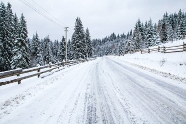 Buzlu yolda kar dağlar, Ladin orman