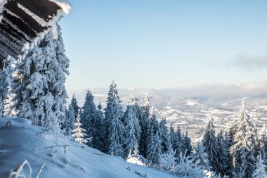 mountaine manzara karlı orman içinde ahşap kulübe gelen kış