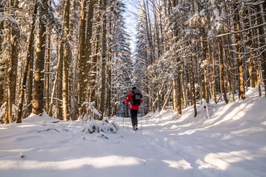 karlı kış ormanda yürüyüş sırt çantası olan bir uzun yürüyüşe çıkan kimse erkek