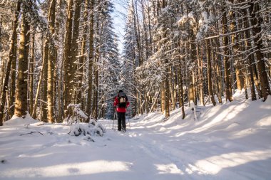 karlı kış ormanda yürüyüş sırt çantası olan bir uzun yürüyüşe çıkan kimse erkek