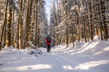 karlı kış ormanda yürüyüş sırt çantası olan bir uzun yürüyüşe çıkan kimse erkek