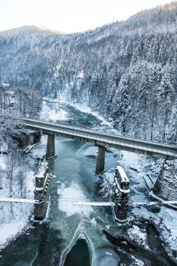 Buzlu Dağ nehir, tepelerde kış orman Nehri Köprüsü