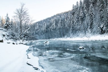 manzara mavi renk Ladin karlı ormandaki nehir donmuş dağ