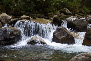 büyük beyaz hızlı yeşil ormanın içinde dağ Nehri üzerinde
