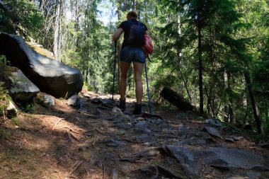 Bir sırt çantası ile kadın hiker ormandaki taşlı bir yol boyunca yürüyüş