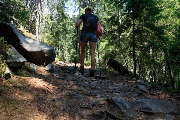 Bir sırt çantası ile kadın hiker ormandaki taşlı bir yol boyunca yürüyüş