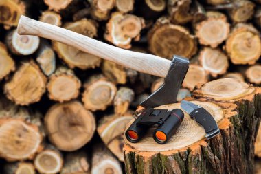 stump, arka planda çeşidinde balta, dürbün ve çakın davasında