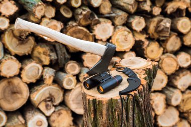 stump, arka planda çeşidinde balta, dürbün ve karambit bıçak davasında