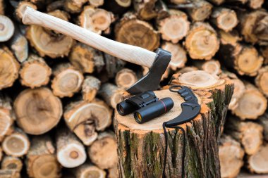 stump, arka planda çeşidinde balta, dürbün ve karambit bıçak davasında