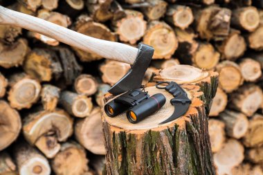 stump, arka planda çeşidinde balta, dürbün ve karambit bıçak davasında