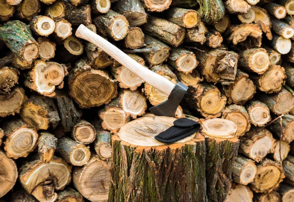 Axe Knife Case Stump Firewoods Background — Stock Photo, Image