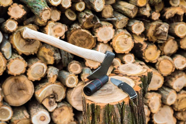 Axe Monocle Jackknife Case Stump Firewoods Background — Stock Photo, Image