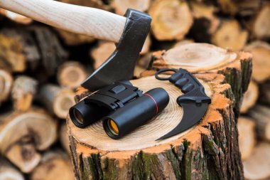 stump, arka planda çeşidinde balta, dürbün ve karambit bıçak davasında