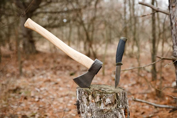 Топор Охотничий Нож Всасывают Пень Лесу — стоковое фото