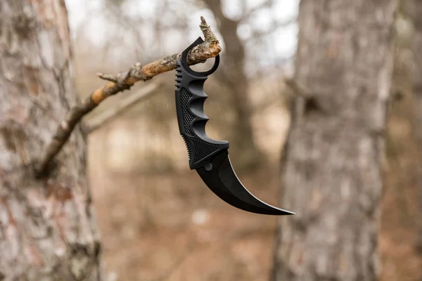 Coltello Karambit Appeso Ramo Nella Foresta Autunnale — Foto Stock