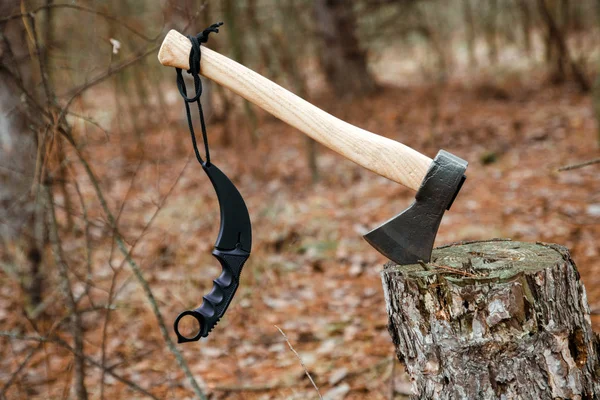 Hache Couteau Karambit Coincés Dans Souche Dans Forêt — Photo