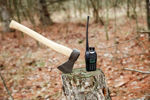 axe and radio set on the stump in autumn forest