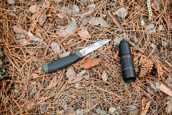 Монокль и охотничий нож на земле, покрытый сосновыми иглами — стоковое фото