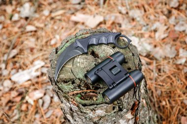 dürbün ve güdük sonbahar ormandaki karambit bıçak