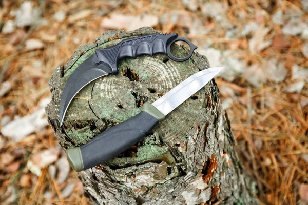 Нож карамбита и охотничий нож на пне в осеннем лесу — стоковое фото