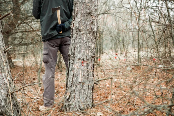秋の森に隠れている斧の男と犯罪を作るために行く — ストック写真