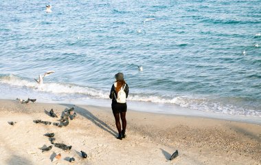 şapkalı tanınmaz erkek martılar ve deniz sahilde güvercin besleme