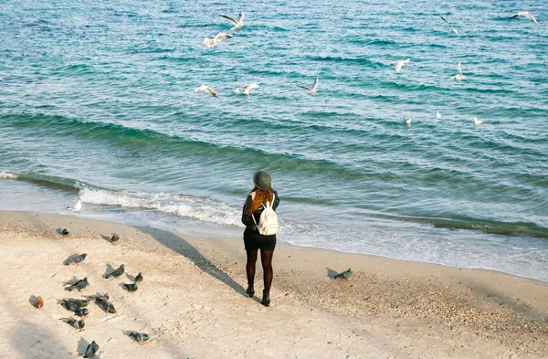 şapkalı tanınmaz erkek martılar ve deniz sahilde güvercin besleme