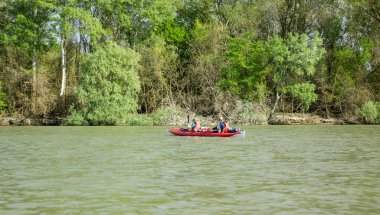 Yeşil Nehir Dunau üzerinde kırmızı kürek kayık kayak üzerinde kayak iki adam. Ukrayna/Romanya 28.05.2019