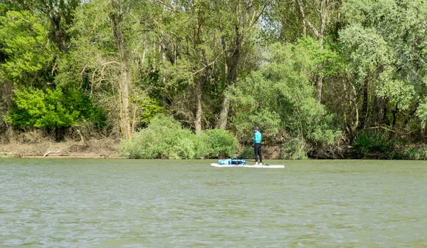 Female kayaking on the sup board on green river Dunau. Ukraine/Romania 28/05/2019 — Stock Photo, Image