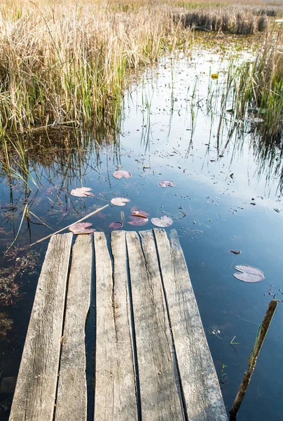 Vieille couchette en bois mène au lac avec roseaux et nénuphars — Photo