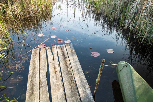 old wooden berth leads to the lake with reeds and water lilies