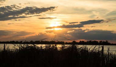 nehir tuna üzerinde güzel bulutlar ile doğal turuncu gün batımı, ön planda sazlık ve çim