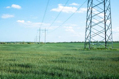 yeşil alanda yüksek gerilim elektrik direkleri