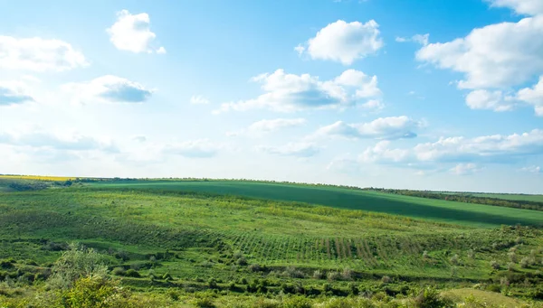 Champ vert et vallée, nuages sur le ciel bleu — Photo