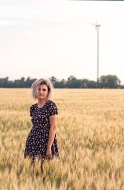 Genç, bronzlaşmış, kıvırcık saçlı kadın gün batımında olgunlaşmış buğday tarlasında olmaktan mutlu.