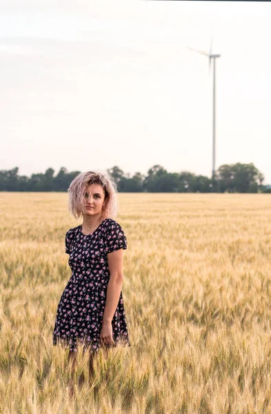 Genç, bronzlaşmış, kıvırcık saçlı kadın gün batımında olgunlaşmış buğday tarlasında olmaktan mutlu.