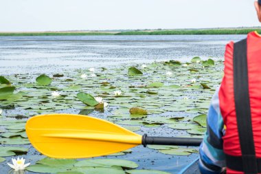 gölde kayık kürek ile adam, etrafında nilüferler