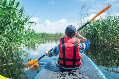 adam nehir kanalı üzerinde kayık üzerinde kürek, yeşil kamış etrafında