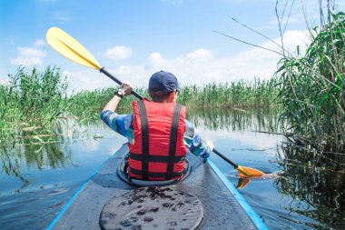 adam nehir kanalı üzerinde kayık üzerinde kürek, yeşil kamış etrafında