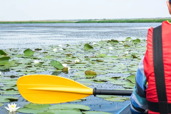 gölde kayık kürek ile adam, etrafında nilüferler