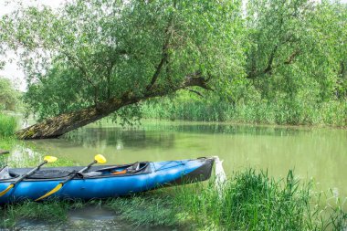 yeşil nehir üzerinde sular altında kıyıda mavi kayık