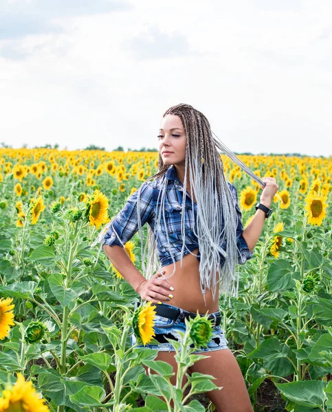 ayçiçeği alanında afro-örgülü genç sevimli tabaklanmış ülke kız
