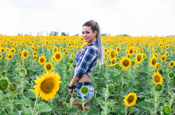 ayçiçeği alanında afro-örgülü genç sevimli tabaklanmış ülke kadın