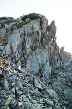 gün batımı ışığında bir dağın zirvesinde büyük gri scree duvar