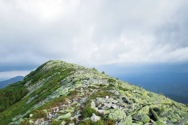 高山の松と大きな緑の石のスクリーで覆われた山頂。灰色の雲 — ストック写真