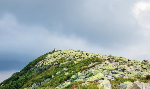 高山の松と大きな緑の石のスクリーで覆われた山頂。灰色の雲 — ストック写真