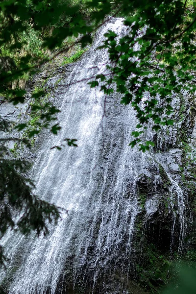 Air terjun tinggi di hutan gelap hijau gelap tanaman di sekitar, log di bawah air terjun — Stok Foto