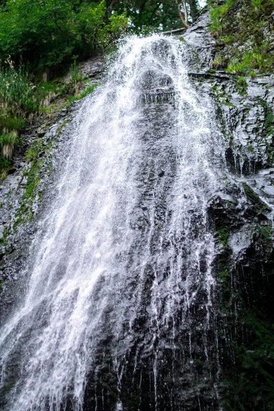 Högt vattenfall i mörk skog mörkgröna växter runt, stockar under av vattenfall — Stockfoto