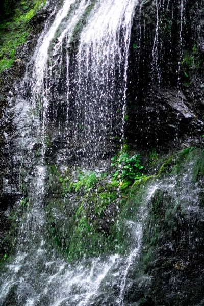 高瀑布在深森林深绿色植物周围，瀑布下面的原木 — 图库照片